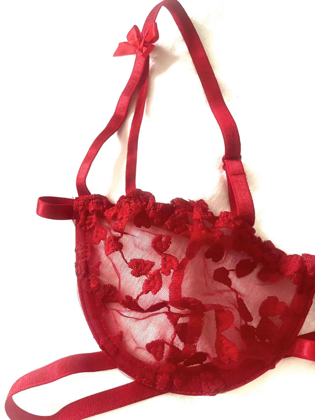 Red Embroidered Lace Lingerie Set