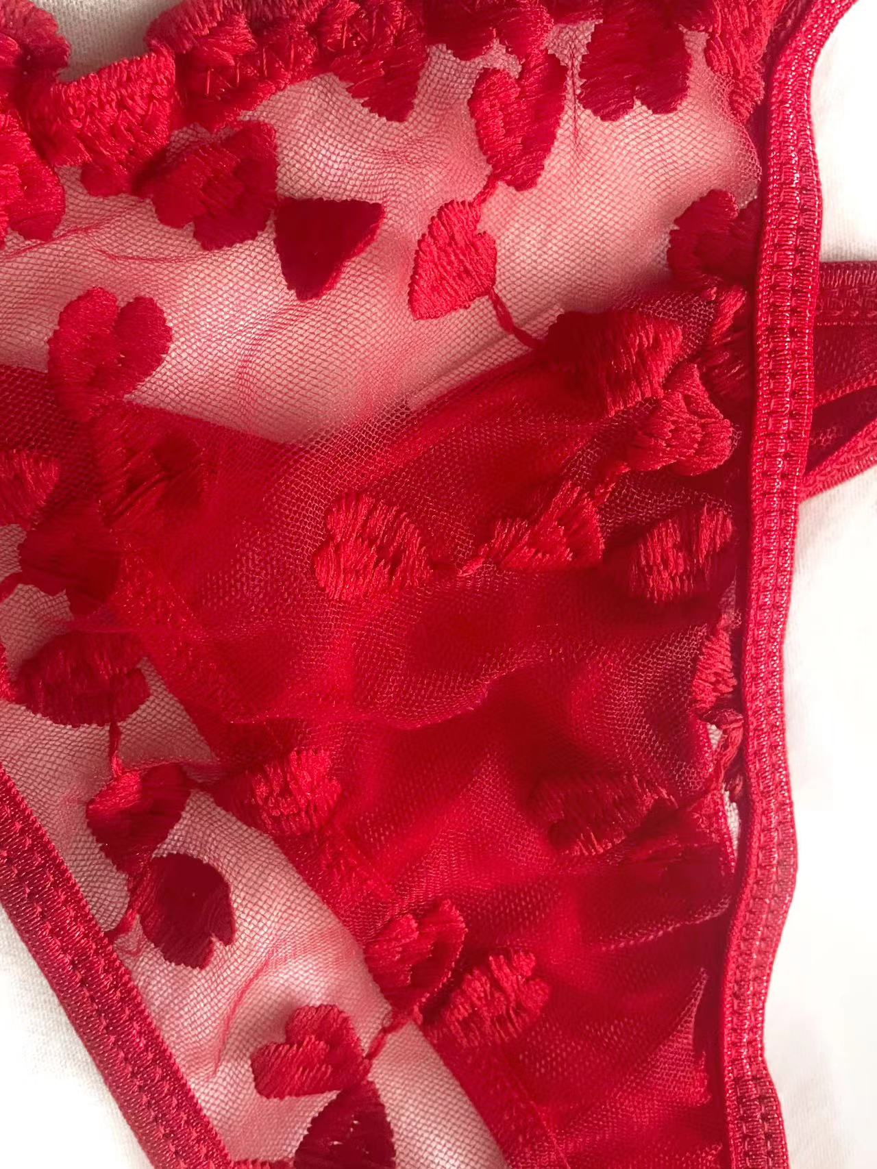 Red Embroidered Lace Lingerie Set