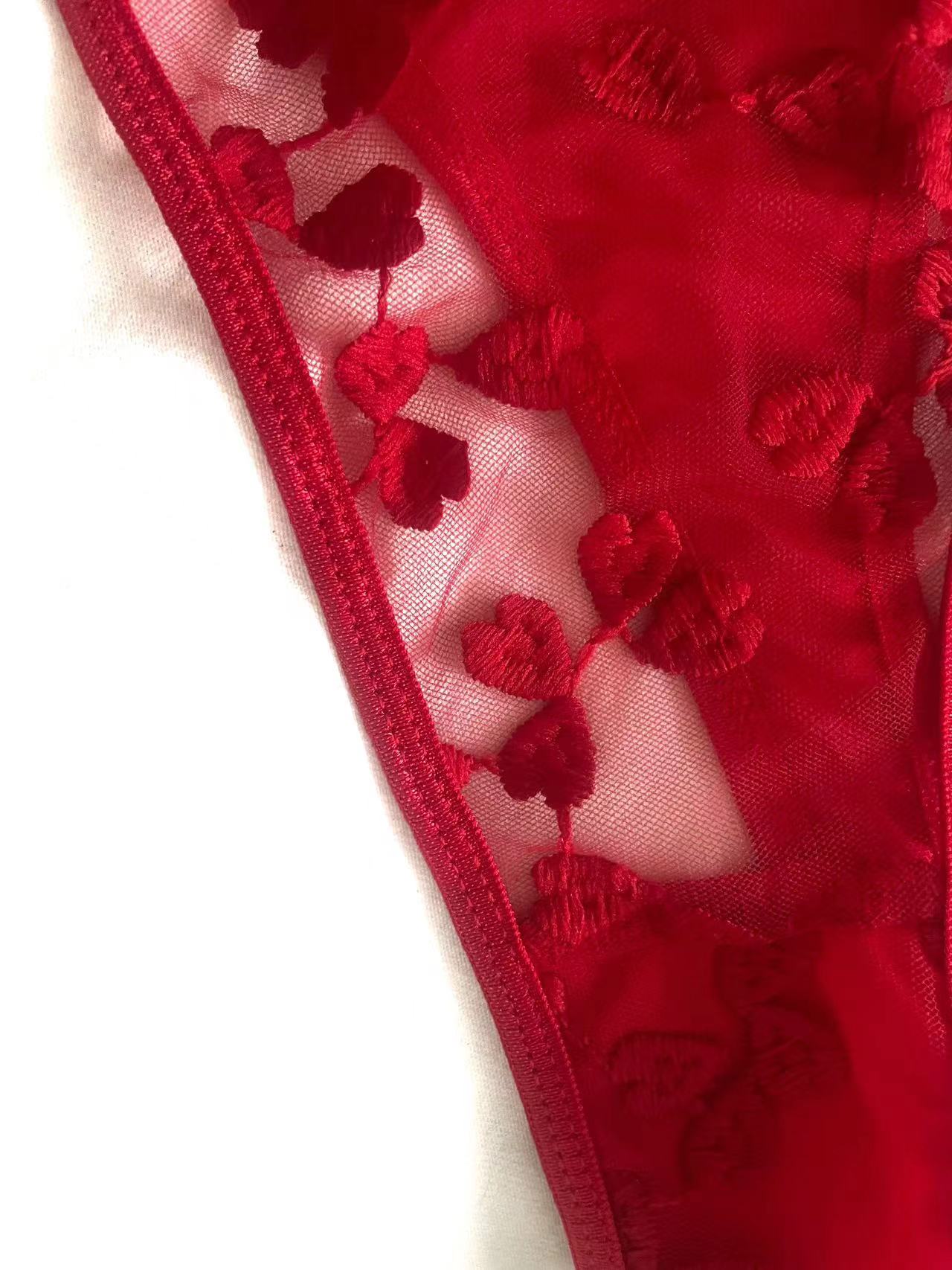 Red Embroidered Lace Lingerie Set
