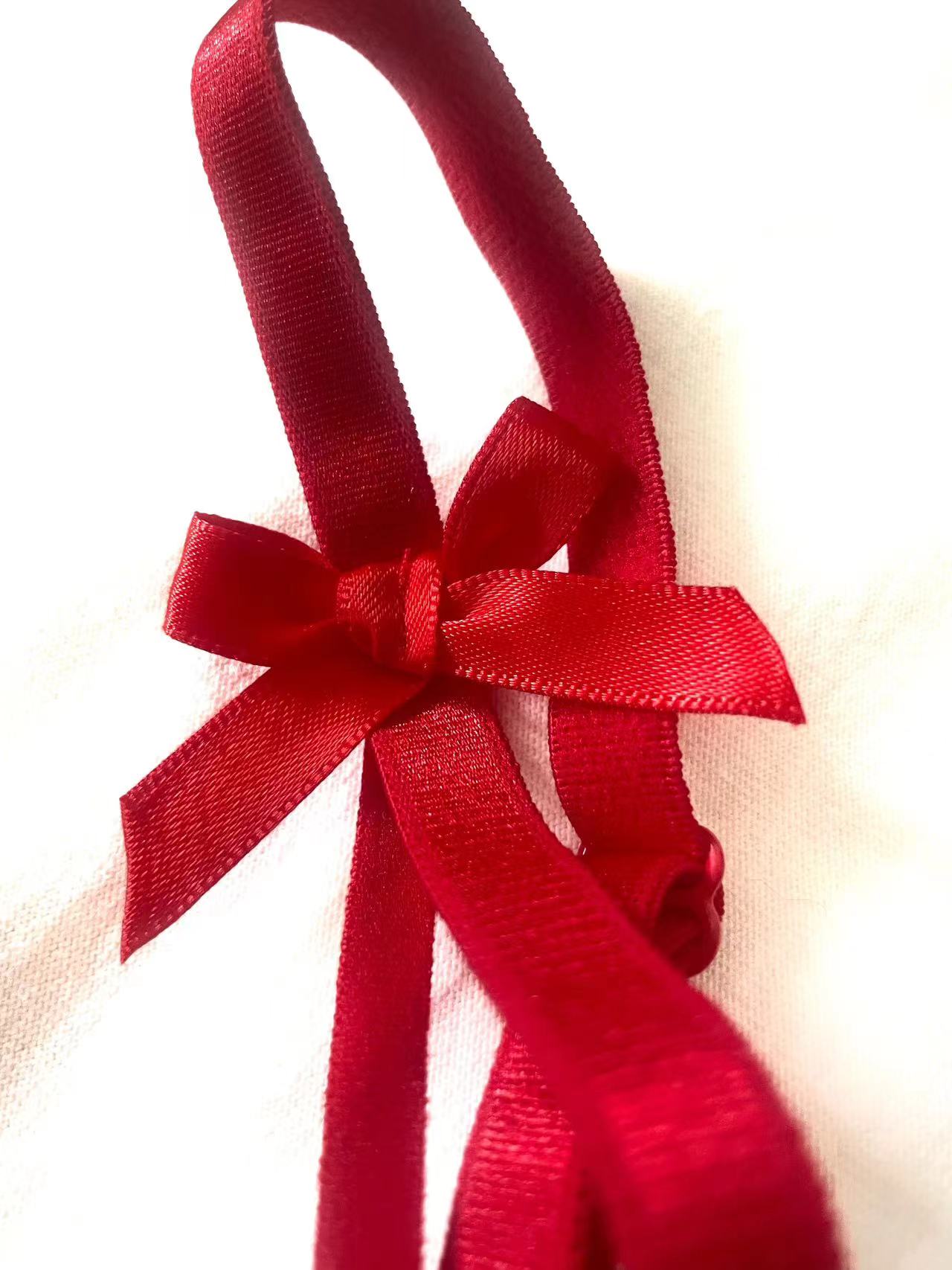 Red Embroidered Lace Lingerie Set