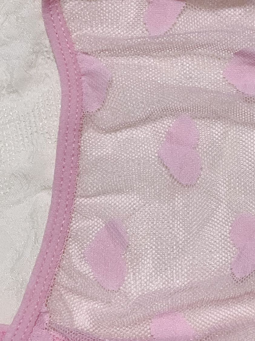 Pink Heart Mesh Teddy
