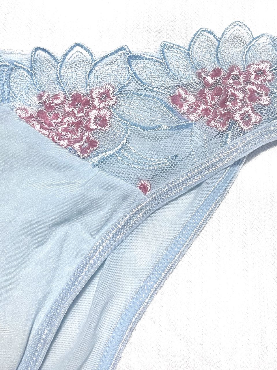 Light Blue Embroidered Lingerie Set