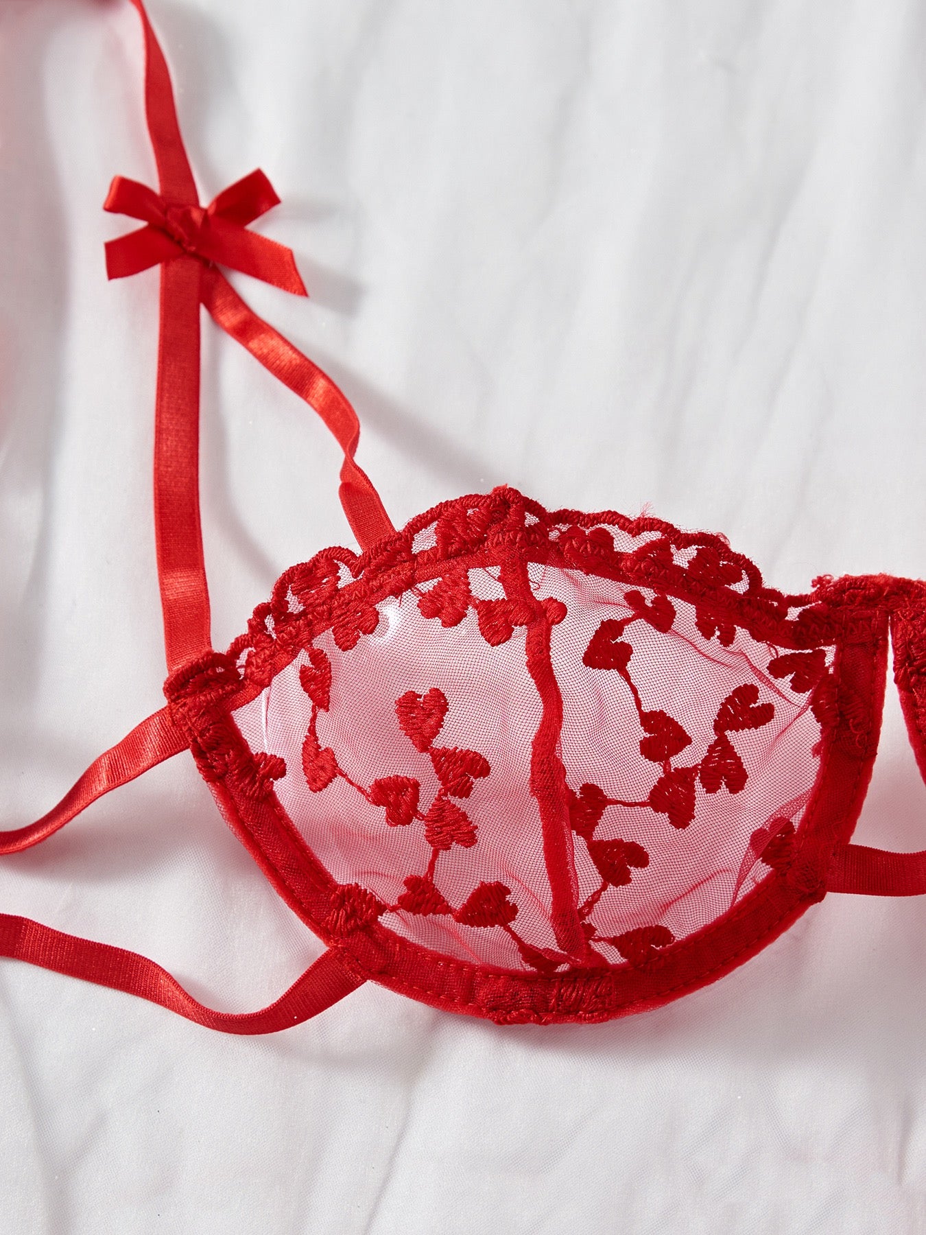 Red Embroidered Lace Lingerie Set